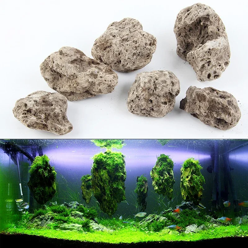 Aquarium Plants For Sale - 3 adet/grup Avatar yüzen gerçek kayalar