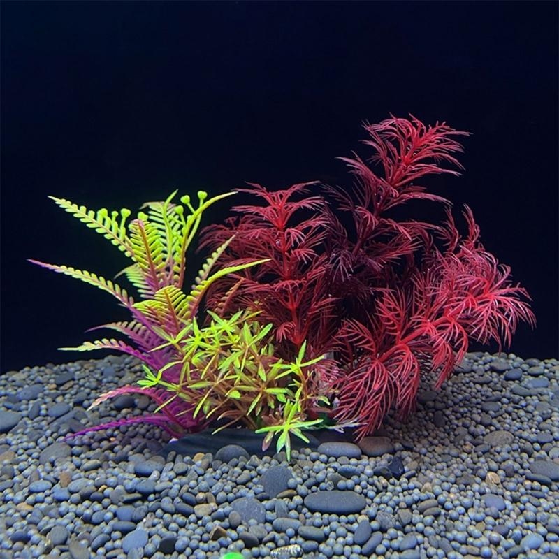 Aquarium Plants For Sale - Yapay Akvaryum Dekorasyon Bitki Balık Dekorasyon
