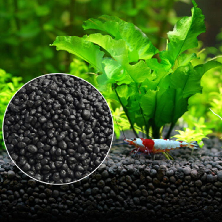 Aquarium Plant Grass - Akvaryum bitki tohumları toprak balık tankı