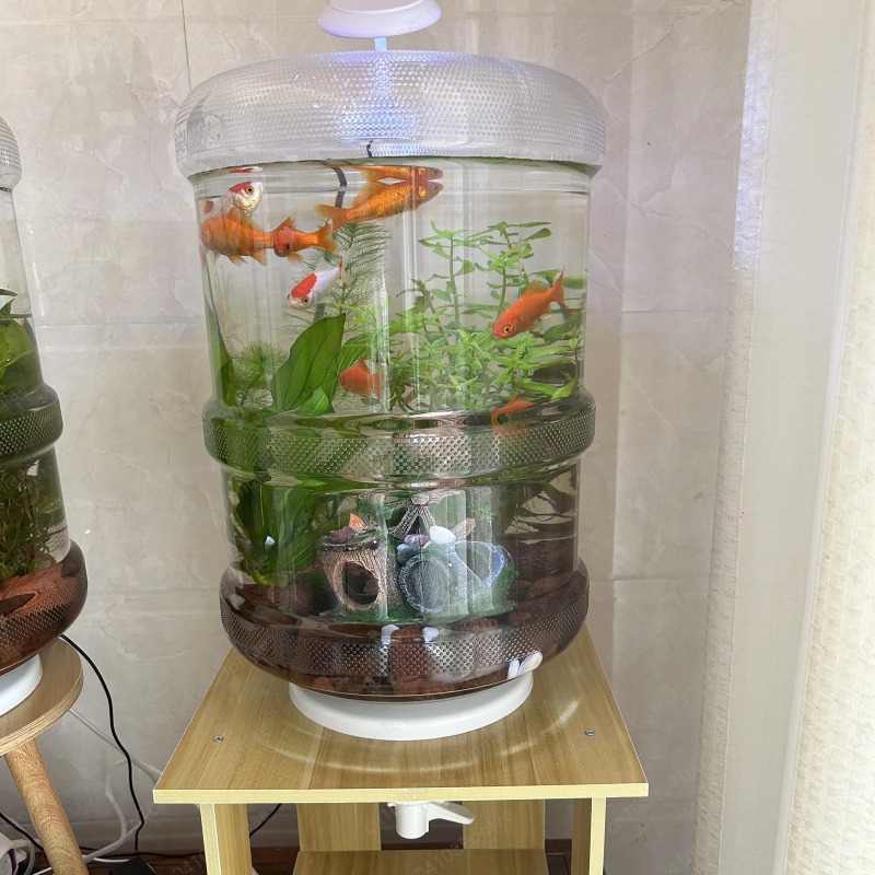 Aquarium Planted Tank Setup - Anında Kurulum Ev Tipi Akvaryum 30x30cm
