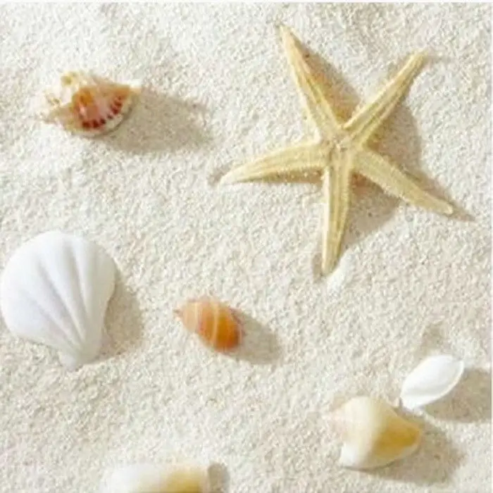 Aquarium Sand White - Naturelle Filipin Kum Mercanı Peyzaj Beyaz