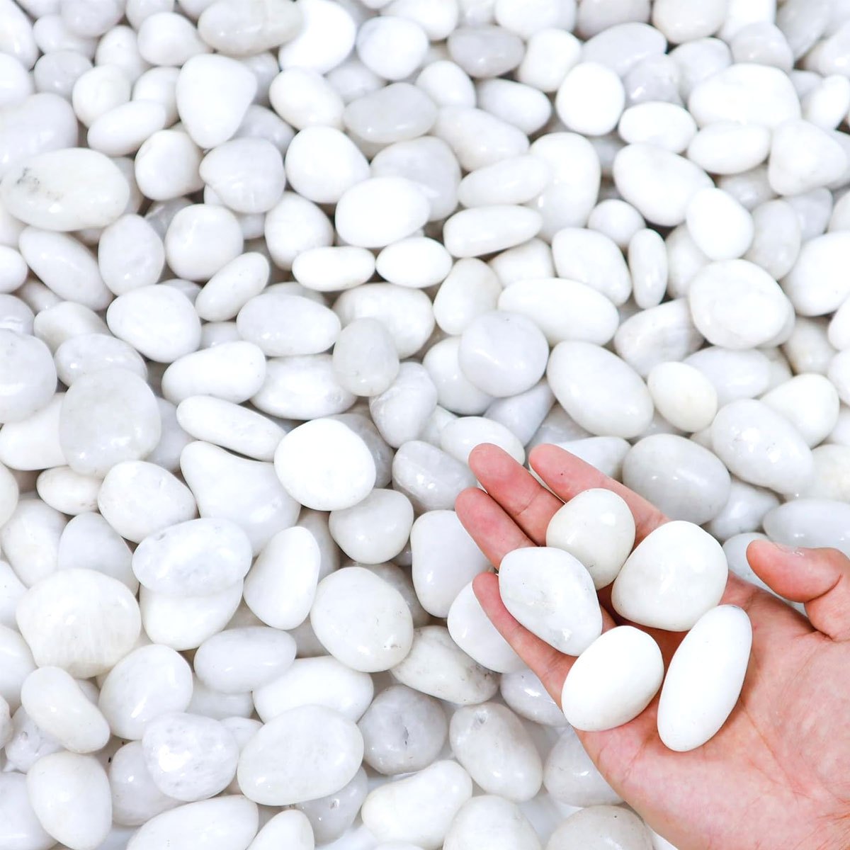 400g Beyaz Cilalı Doğal Nehir  - Aquarium Sand White incelemesi ve fiyatı