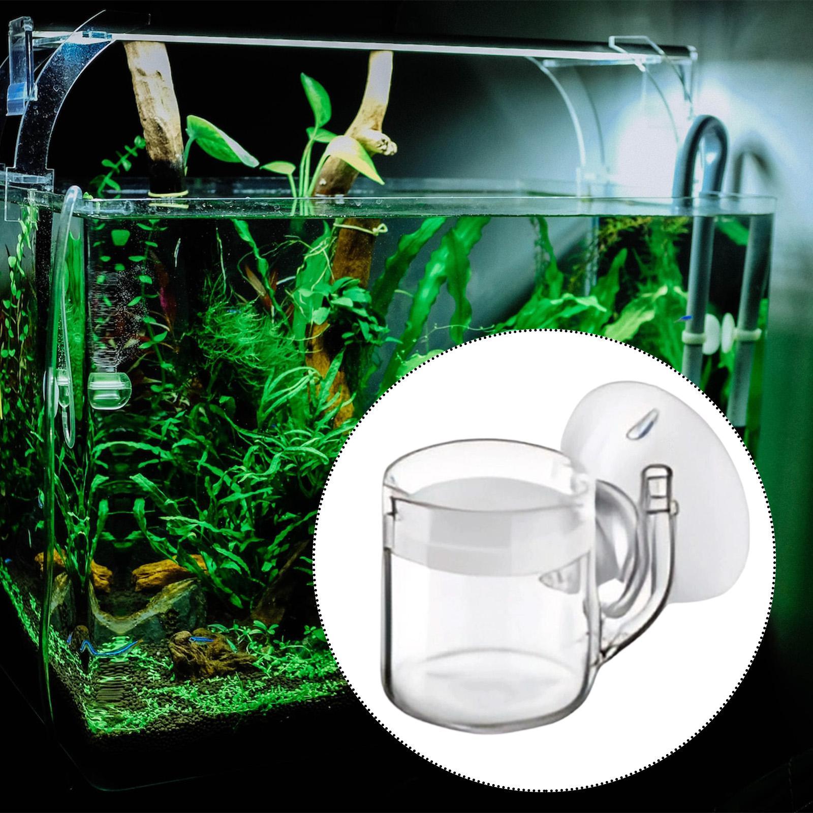 CO2 Akvaryum Difüzörü, Su Bitk - Aquarium Planted Tank Setup incelemesi ve fiyatı