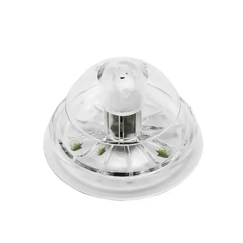 2026 Yeni 6/8CM Şeffaf Plastik - Planted Aquarium Supplies incelemesi ve fiyatı