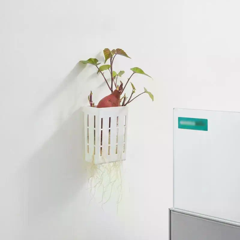 1 Adet Hidroponik Destek Sepet - Aquarium Plant Grass incelemesi ve fiyatı