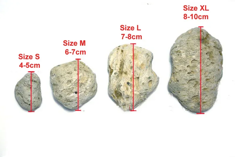 3 adet/grup Avatar yüzen gerçe - Aquarium Plants For Sale incelemesi ve fiyatı