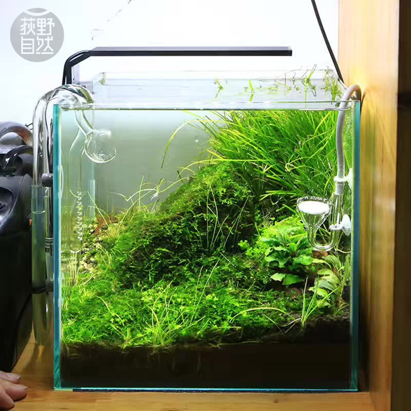 Chihiros C serisi ADA tarzı Bi - Planted Aquarium Ada incelemesi ve fiyatı