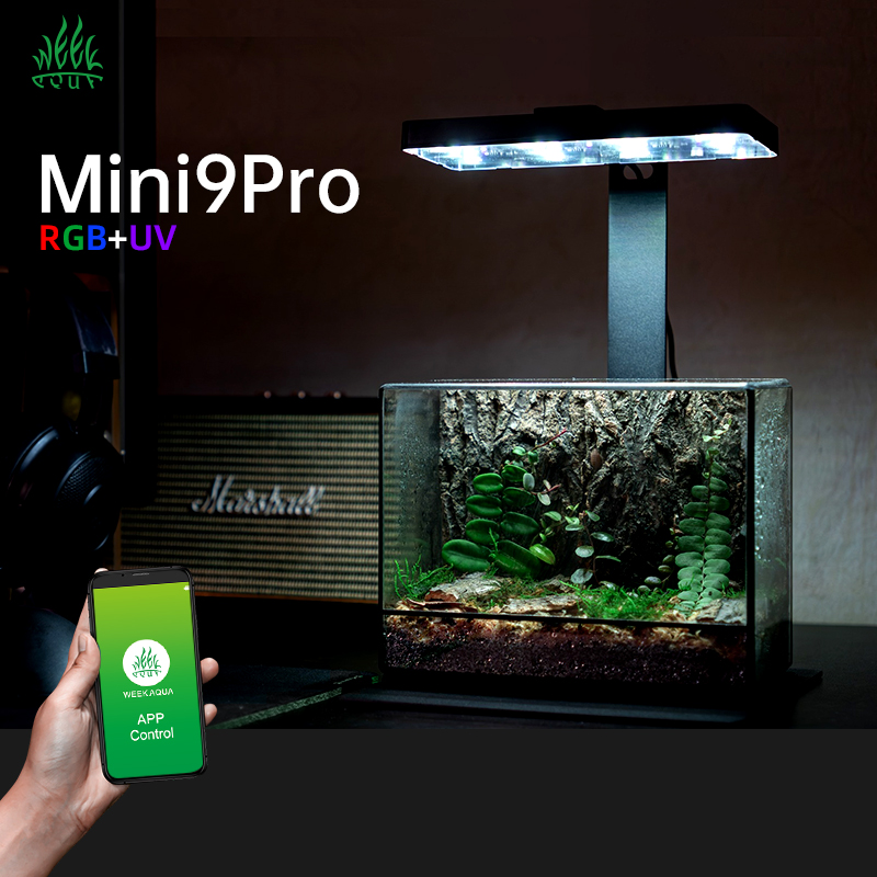 Sıcak Fırsat Mini9pro Nano Ter - Aquarium Plants For Sale incelemesi ve fiyatı