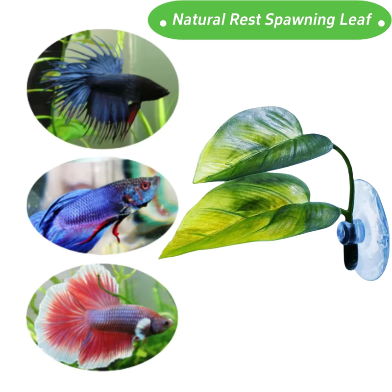 Akvaryum Evcil Hayvan Malzemel - Planted Aquarium Supplies incelemesi ve fiyatı