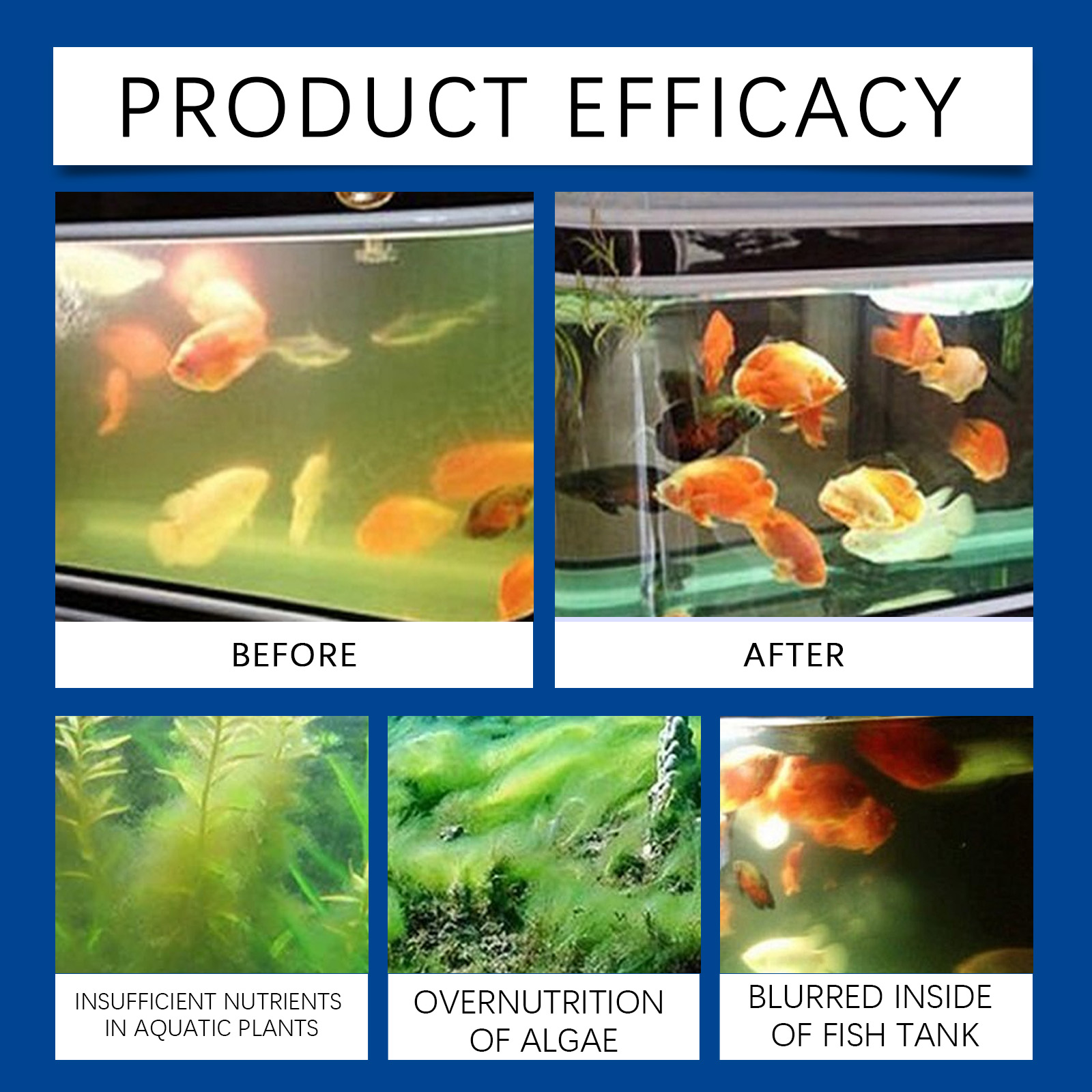 Akvaryum Su Arıtma Cihazı 100  - Planted Aquarium Cleaning incelemesi ve fiyatı