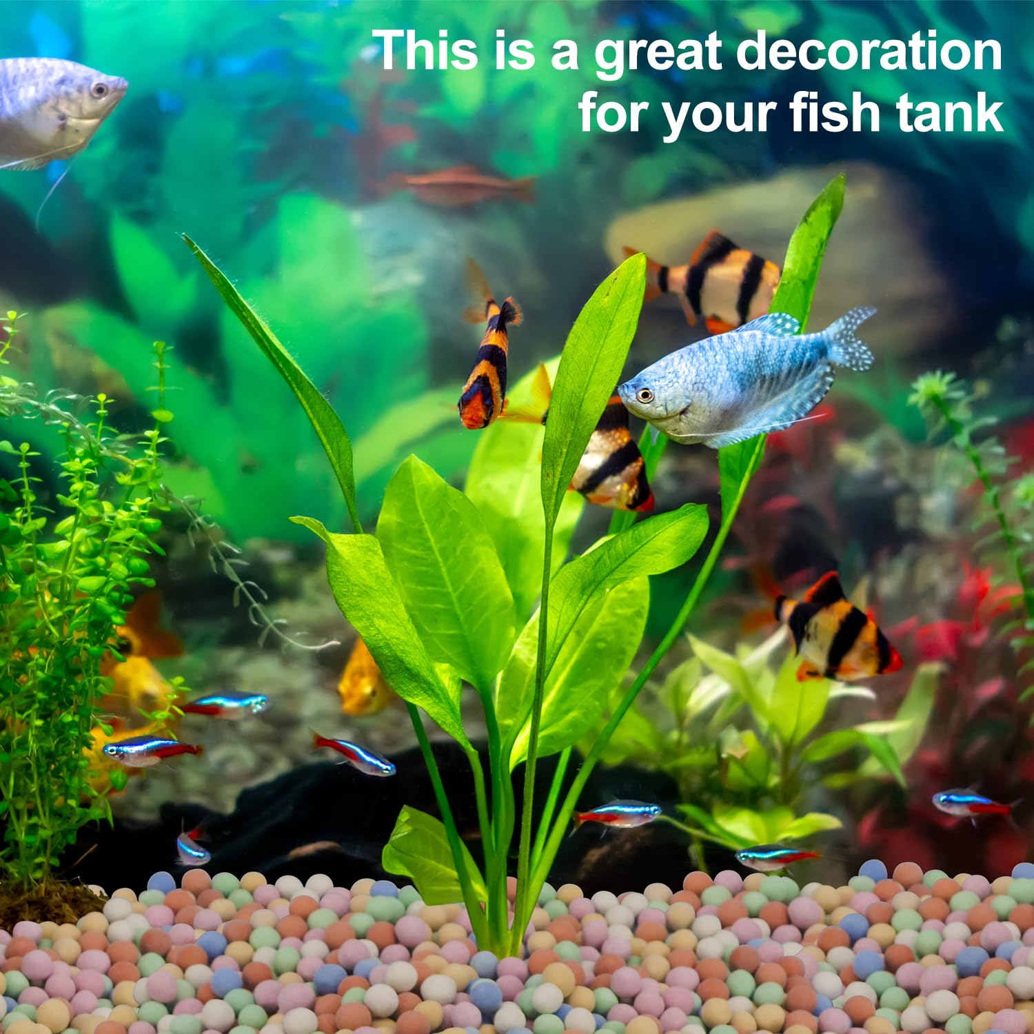 Topraksız Bitki Dekoratif Renk - Aquarium Plant Vitamins incelemesi ve fiyatı