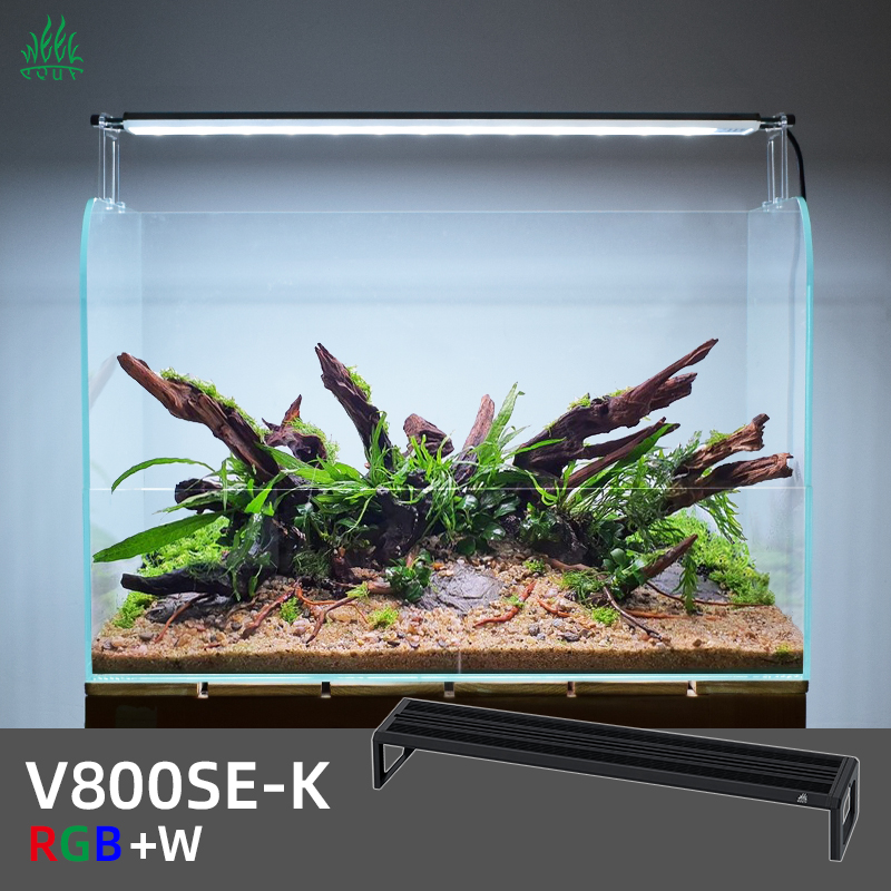 ZXY WEEK ADA Aynı Tip Su Gökyü - Planted Aquarium Ada incelemesi ve fiyatı