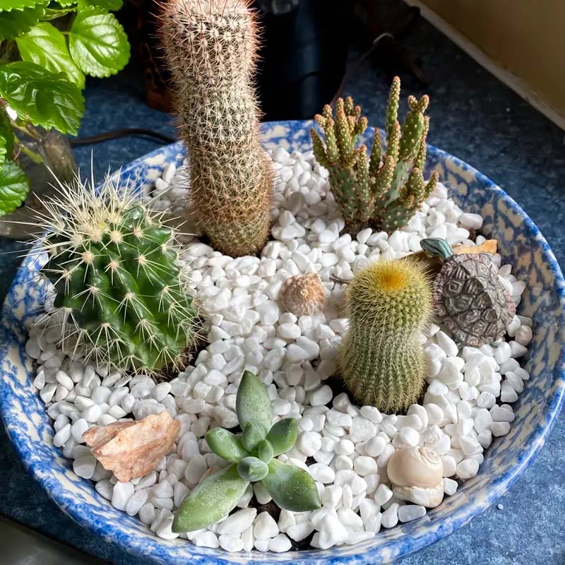 Doğal Beyaz Çakıl Taşları, Bit - Aquarium Sand White incelemesi ve fiyatı