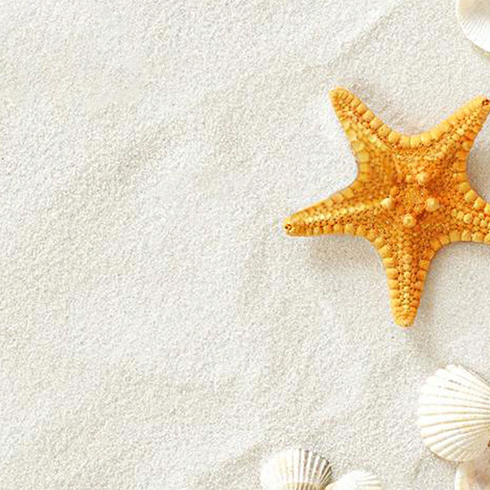 5 Paket 80G Beyaz Kum, Akvaryu - Aquarium Sand White incelemesi ve fiyatı