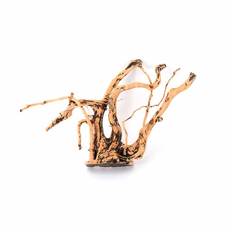 Toptan Sıcak Satış Doğal Dekor - Aquarium Plants For Sale incelemesi ve fiyatı