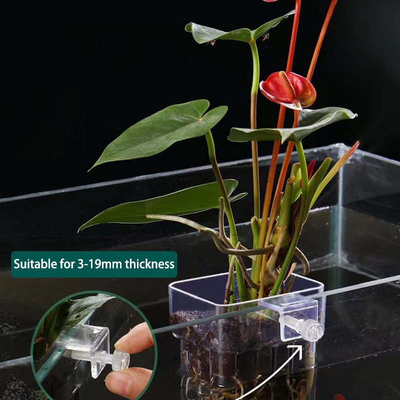Çok fonksiyonlu balık akvaryum - Aquarium Plant Grass incelemesi ve fiyatı