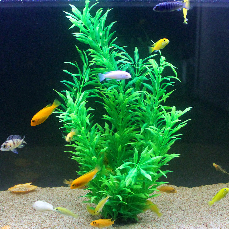50 CM Yapay Balık Tankı Nadir  - Aquarium Plant Grass incelemesi ve fiyatı