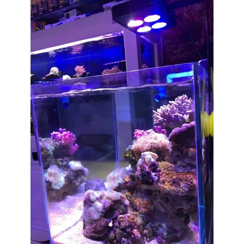 Gako A052 52w Çok Satan Bitki  - Aquarium Plants For Sale incelemesi ve fiyatı