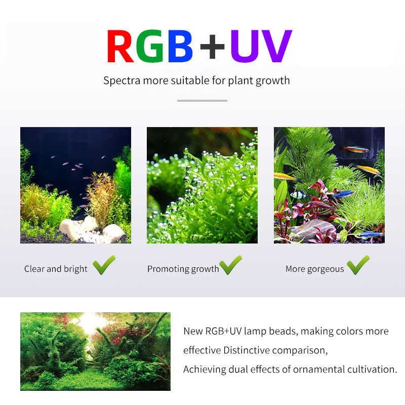 WEEK AQUA P Serisi Akvaryum Ta - Aquarium Plant On Top incelemesi ve fiyatı