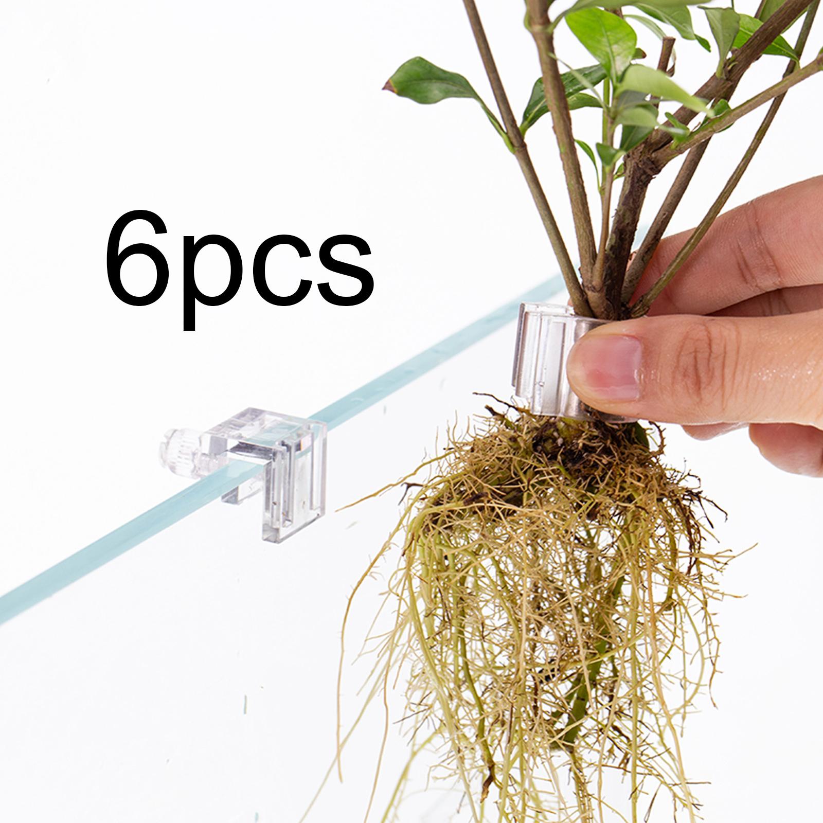 6 Adet Akvaryum Bitki Tutucu,  - Aquarium Plant On Top incelemesi ve fiyatı