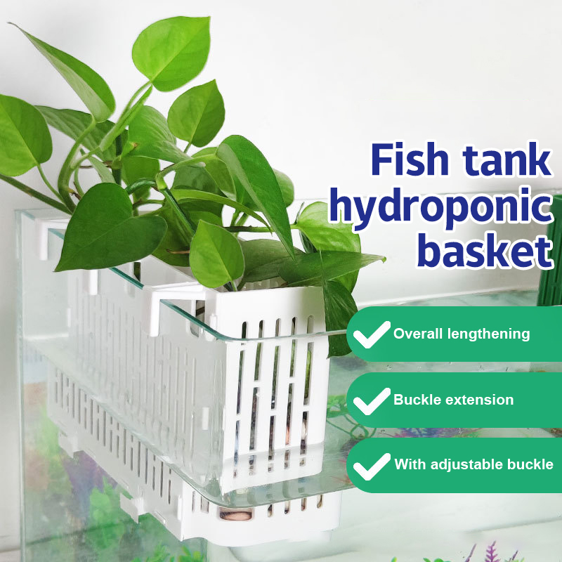 Balık Tankı Asılı Saksı Su Bit - Planted Aquarium Supplies incelemesi ve fiyatı