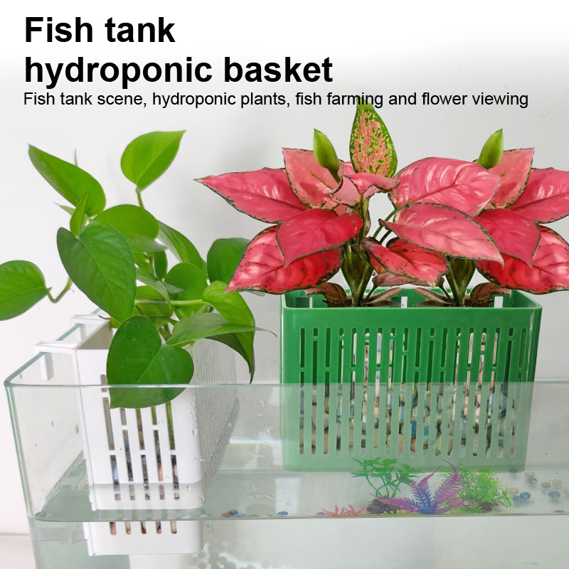 Balık Tankı Asılı Saksı Su Bit - Planted Aquarium Supplies incelemesi ve fiyatı