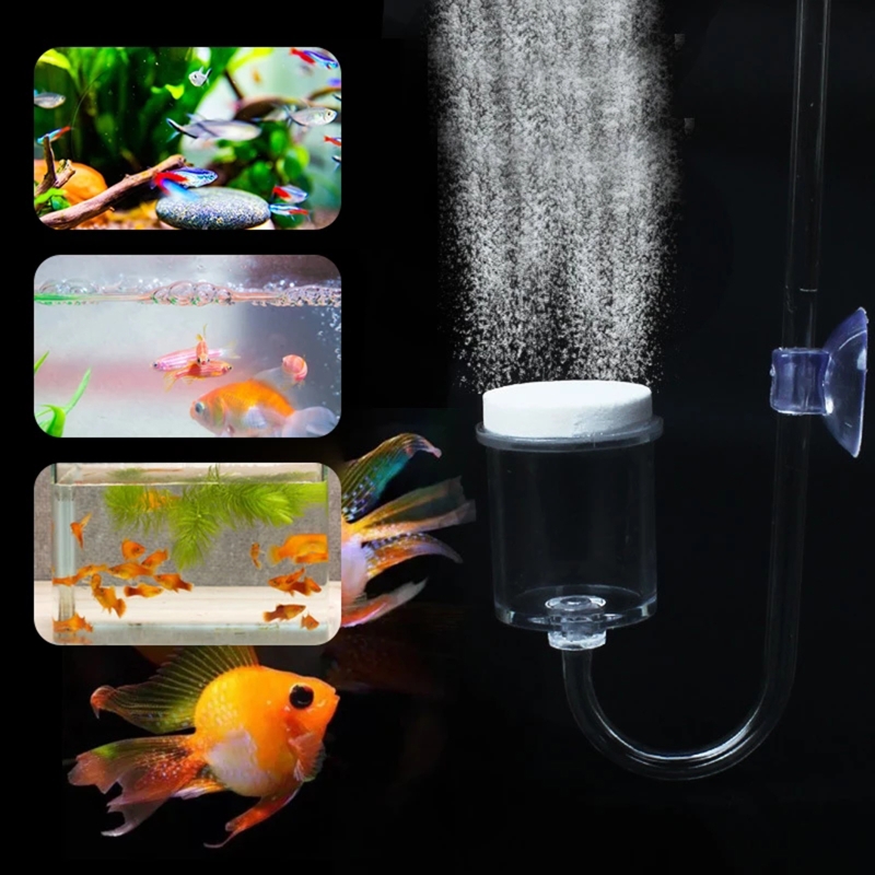4 adet Set DIY CO2 difüzör içi - Aquarium Plant Grass incelemesi ve fiyatı
