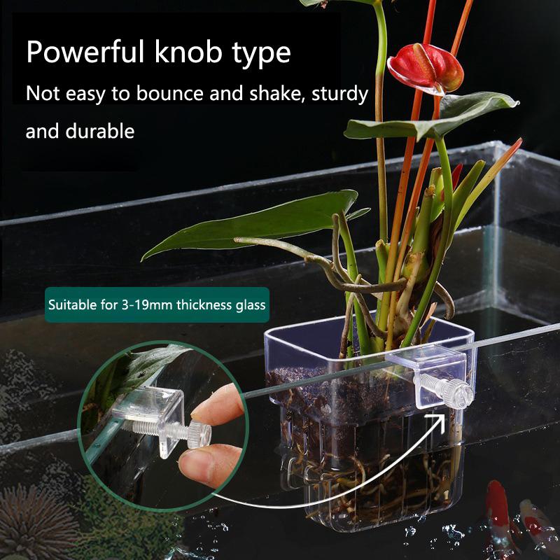 Akvaryum Hidroponik Dikim Kabı - Aquarium Planted Tank Setup incelemesi ve fiyatı