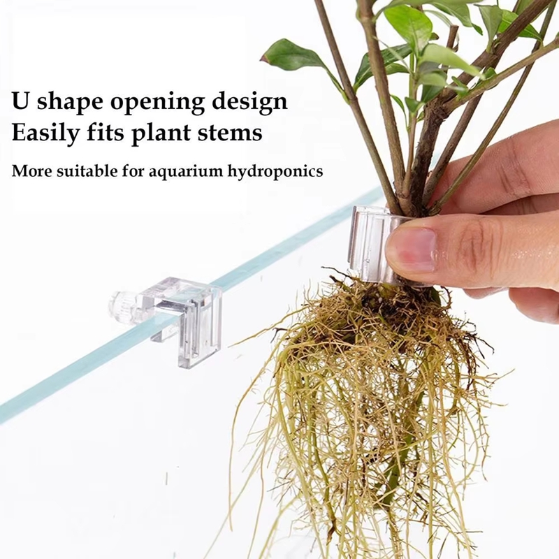 Sıcak Fırsat 6 adet Şeffaf Akv - Aquarium Plants For Sale incelemesi ve fiyatı