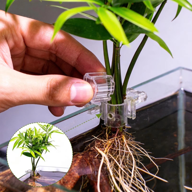 Sıcak Fırsat 6 adet Şeffaf Akv - Aquarium Plants For Sale incelemesi ve fiyatı